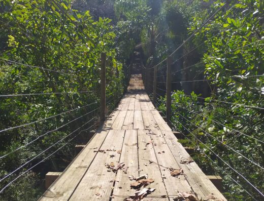 Parque Estadual Fritz Plaumann