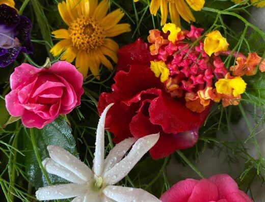 Aromas Horta Jardim