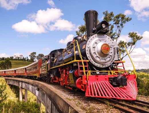 Tour Uva e Vinho e Epopeia Italiana (Ingresso + Transfer)
