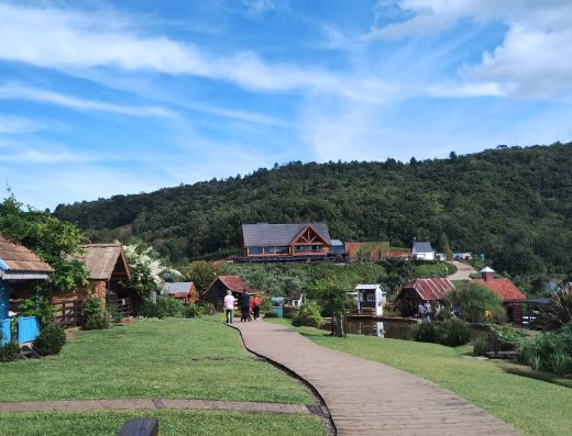 Tour Cervejaria Felsen e Olivas de Gramado