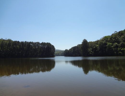 Trilha da Jaguatirica Parque Estadual da Cantareira – Núcleo Cabuçu